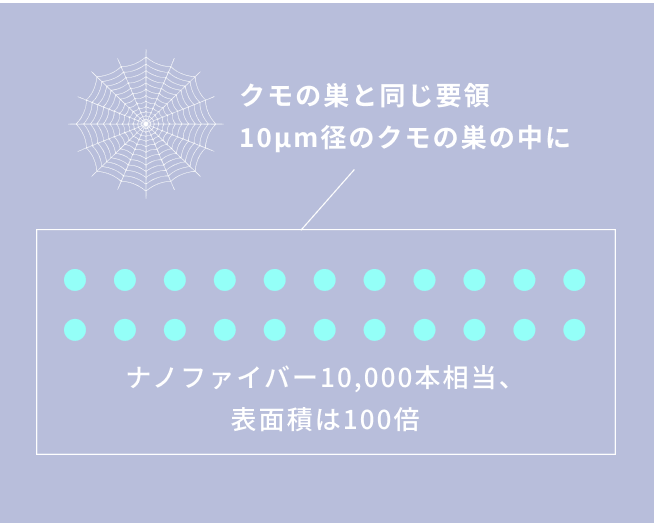 クモの巣容積図
