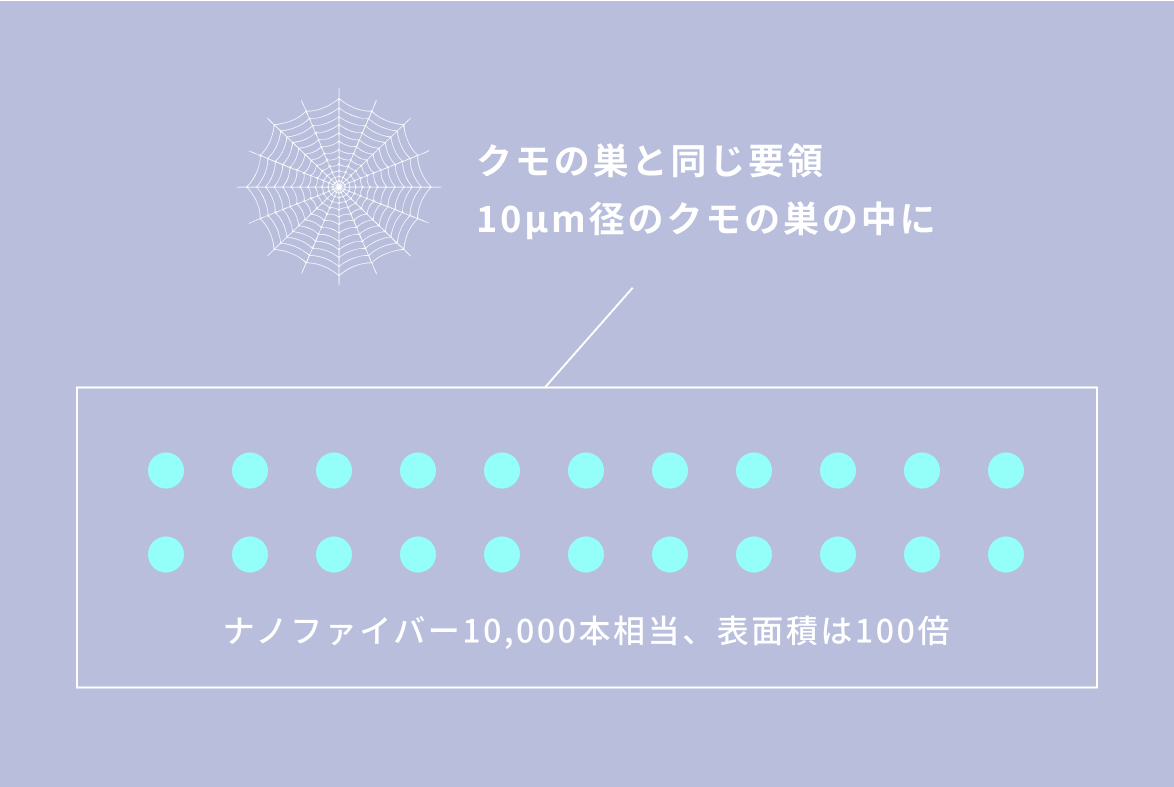 クモの巣容積図